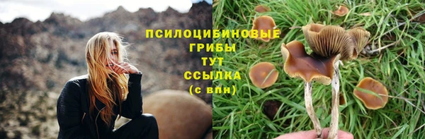 mix Верхний Тагил