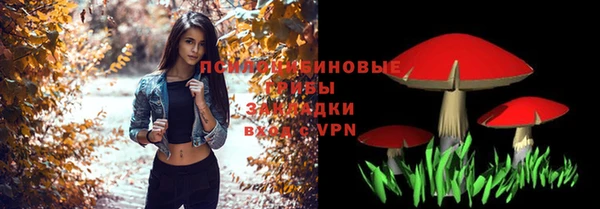 прущая мука Верея